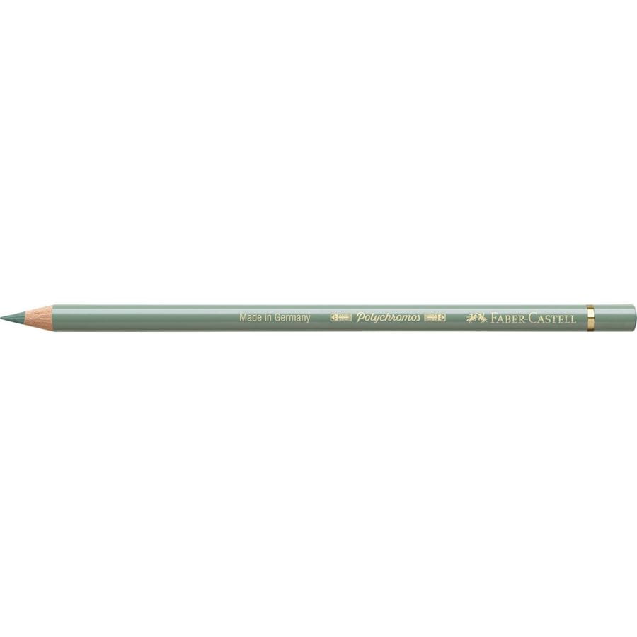 Faber-Castell - Crayon de couleur Polychromos 172 terre verte