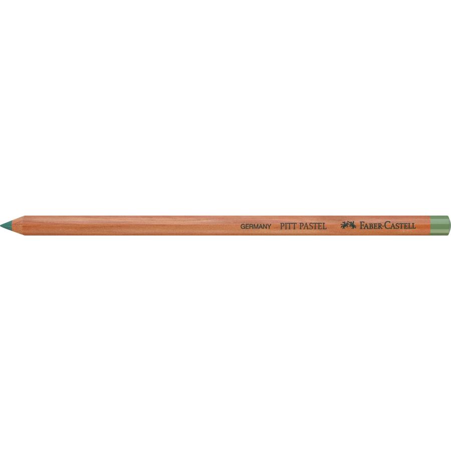 Faber-Castell - Crayon Pitt Pastel terre verte