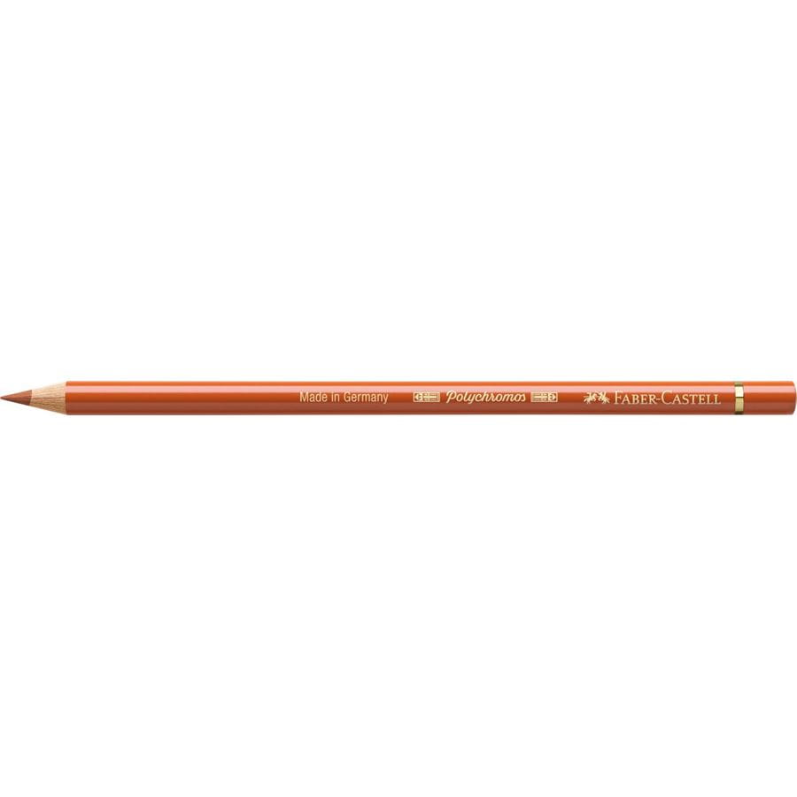 Faber-Castell - Crayon de couleur Polychromos 186 terre cuite