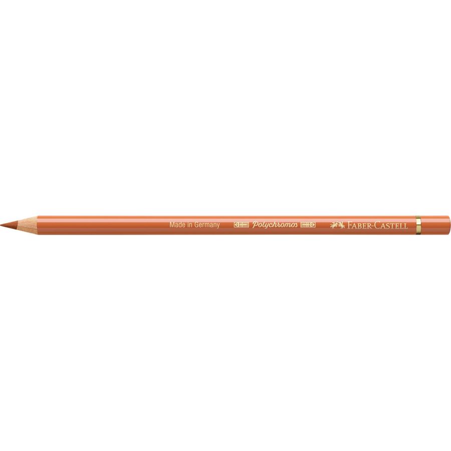 Faber-Castell - Crayon de couleur Polychromos 187 ocre brûlée